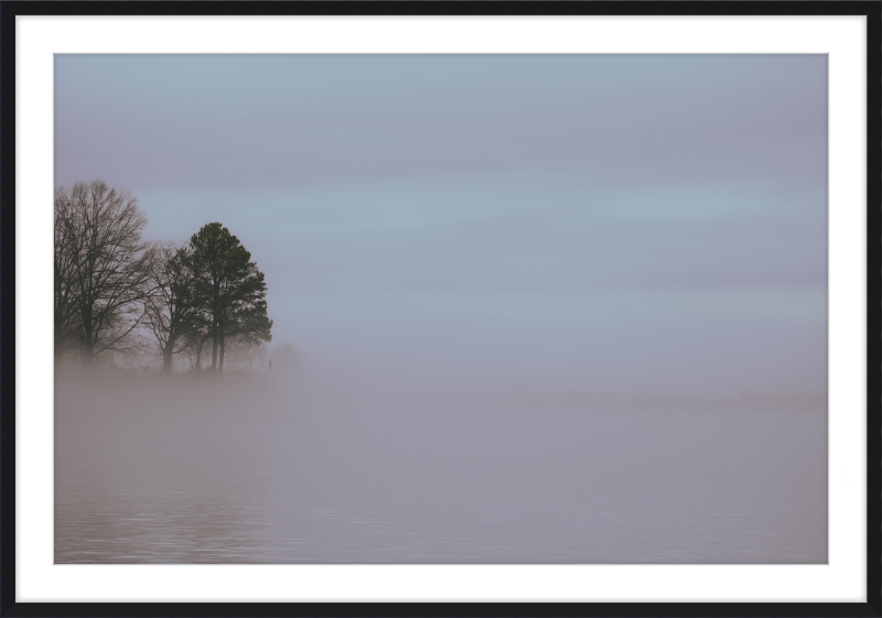 Chesapeake Fog