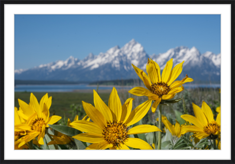 Teton Valley