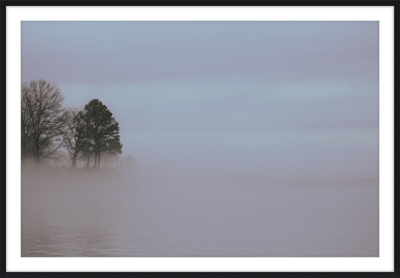 Chesapeake Fog