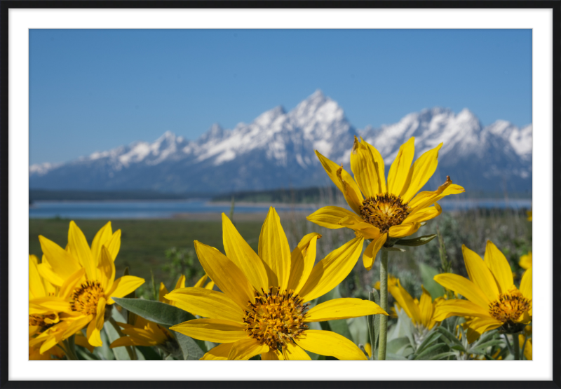 Teton Valley