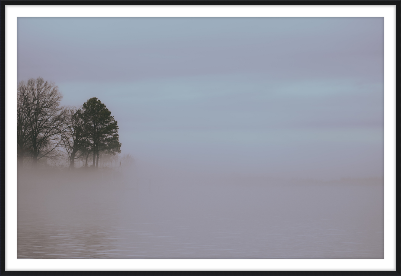 Chesapeake Fog