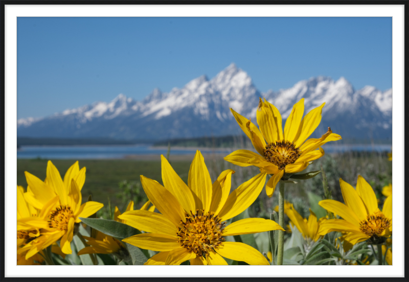 Teton Valley