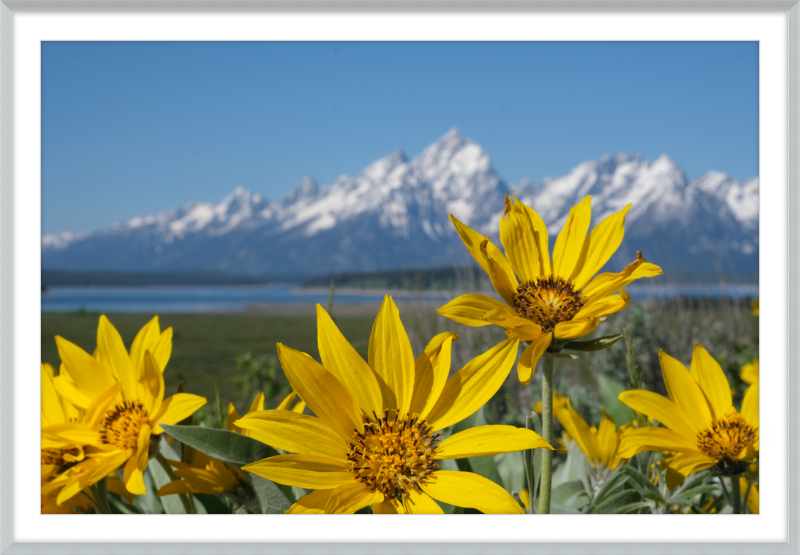 Teton Valley