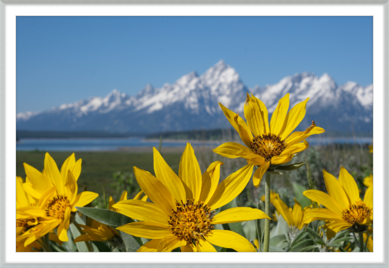 Teton Valley