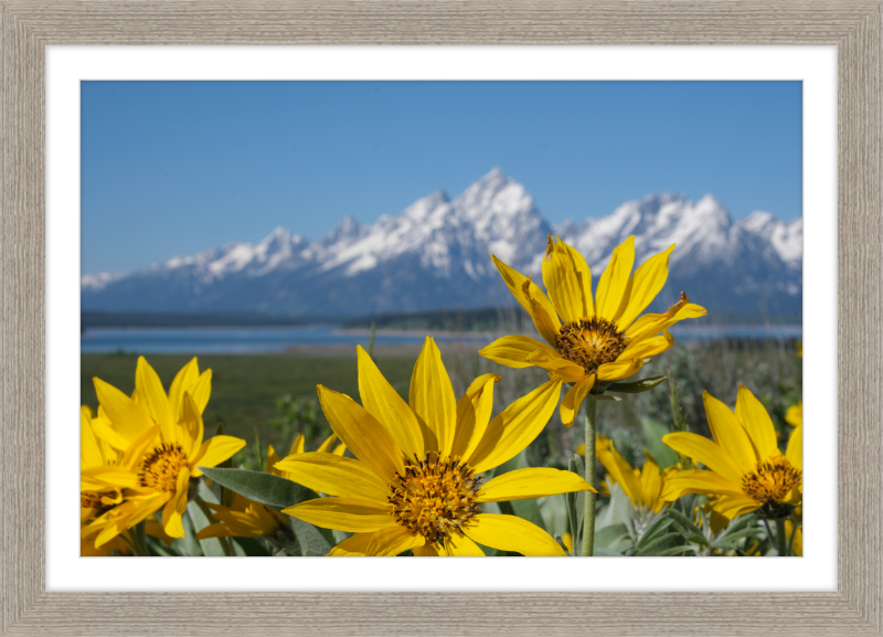 Teton Valley