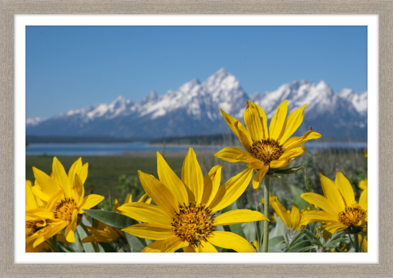 Teton Valley