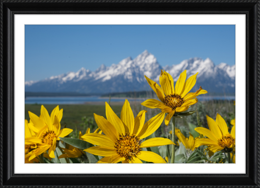 Teton Valley