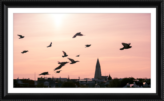 Reykjavik Sunrise