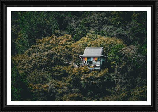 Kyoto Mountainside