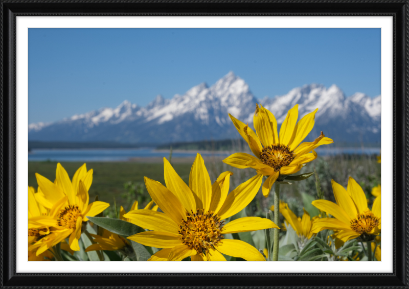 Teton Valley