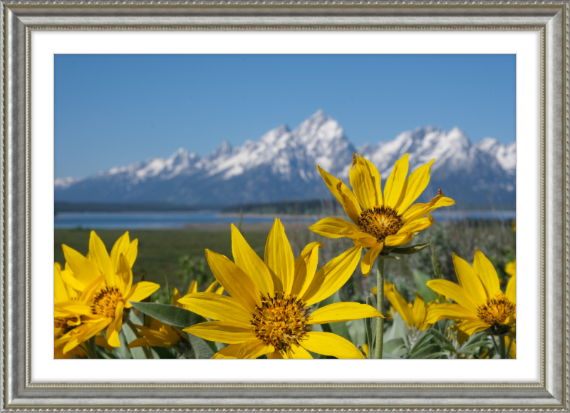 Teton Valley