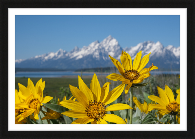 Teton Valley