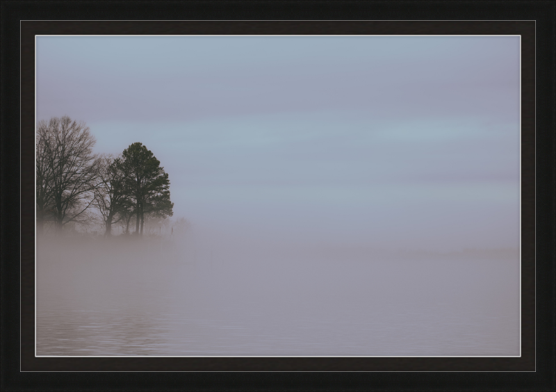 Chesapeake Fog