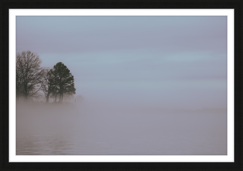 Chesapeake Fog