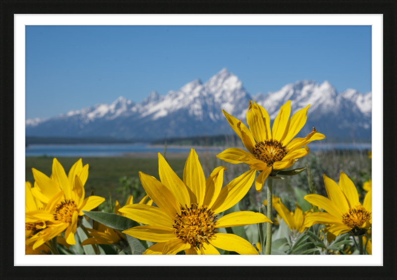 Teton Valley