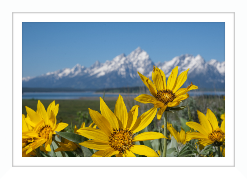 Teton Valley